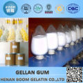 99% Purity dry powder low acyl gellan gum food grade for white sugar